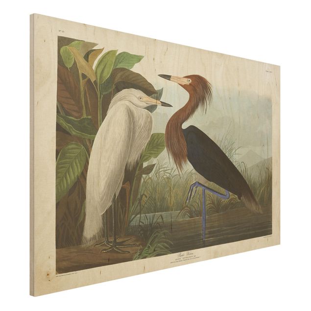 Print on wood - Vintage Board Purple Heron