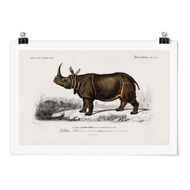 Poster - Vintage Board Rhino