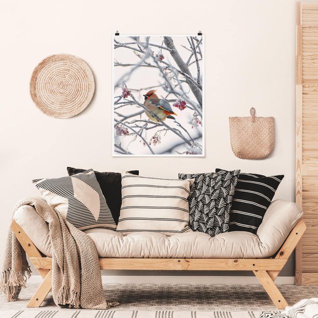 Poster nature & landscape - Waxwing on a Tree