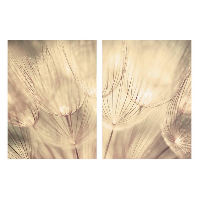 Print on canvas 2 parts - Dandelions Close-Up In Cozy Sepia Tones