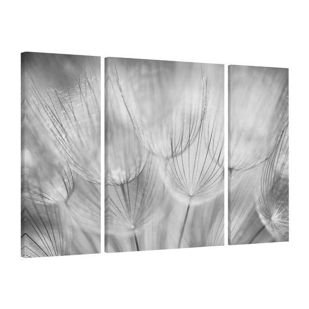 Print on canvas 3 parts - Dandelions Macro Shot In Black And White