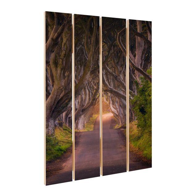 Print on wood - Tunnel Of Trees