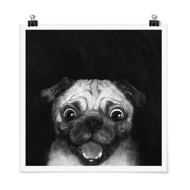 Poster - Illustration Dog Pug Painting On Black And White