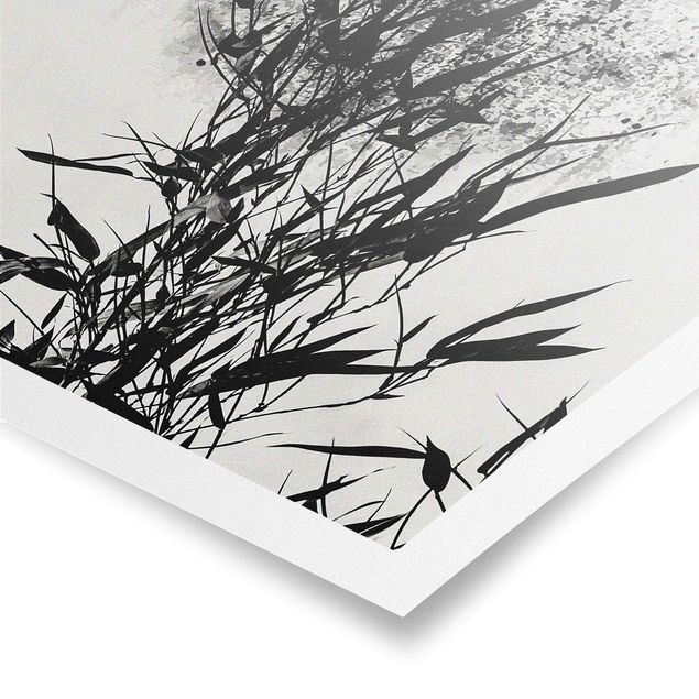 Poster - Graphical Plant World - Black Bamboo