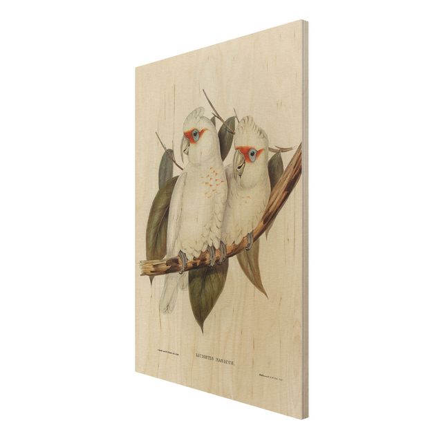 Print on wood - Vintage Illustration White Cockatoo