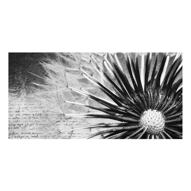 Splashback - Dandelion Black & White
