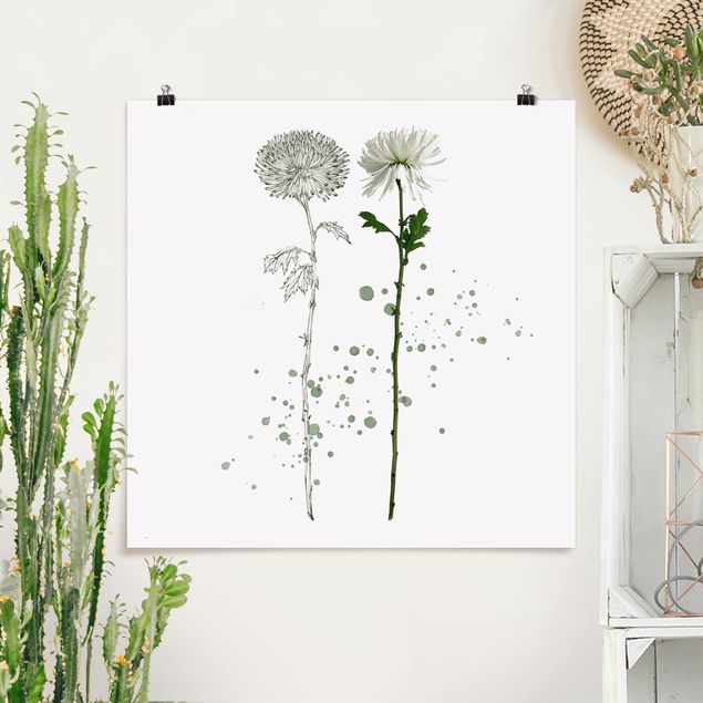 Poster - Botanical Watercolour - Dandelion