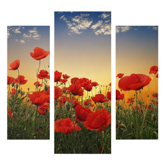 Print on canvas 3 parts - Poppy Field In Sunset