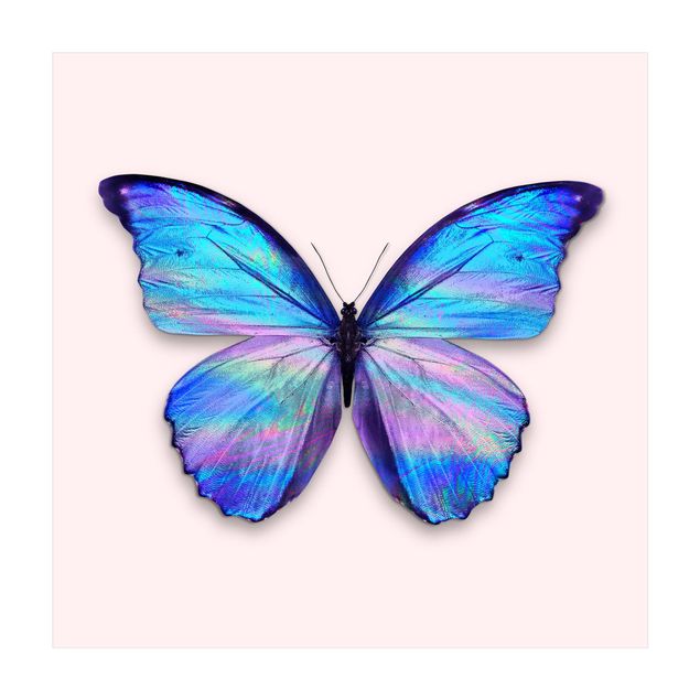 dining room area rugs Holographic Butterfly