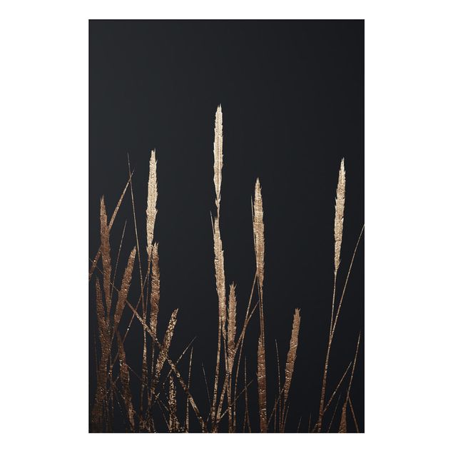Alu-Dibond print - Graphical Plant World - Golden Reed