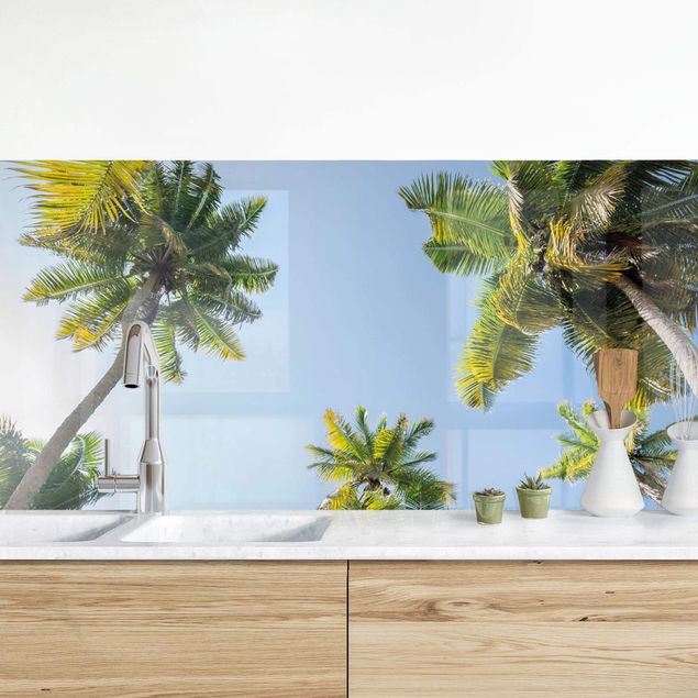 Kitchen splashback landscape Palm Tree Canopy