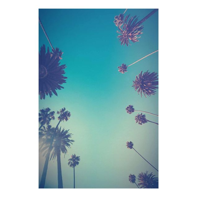 Glass print - Tropical Plants Palm Trees And Sky II