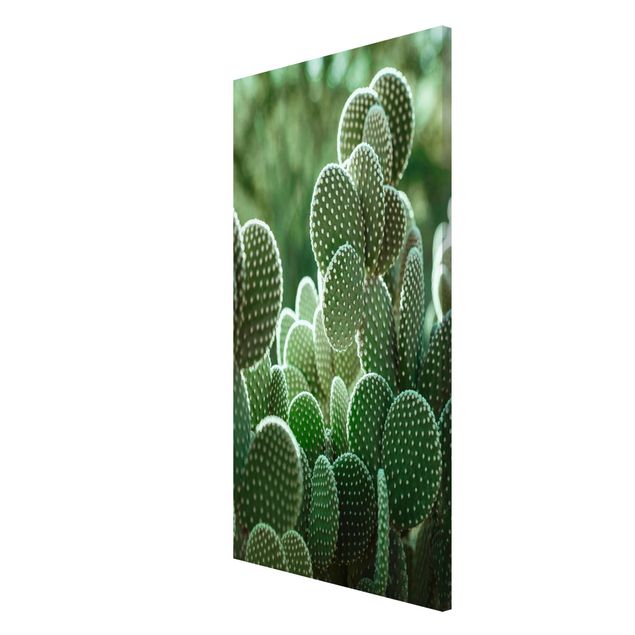 Magnetic memo board - Cacti