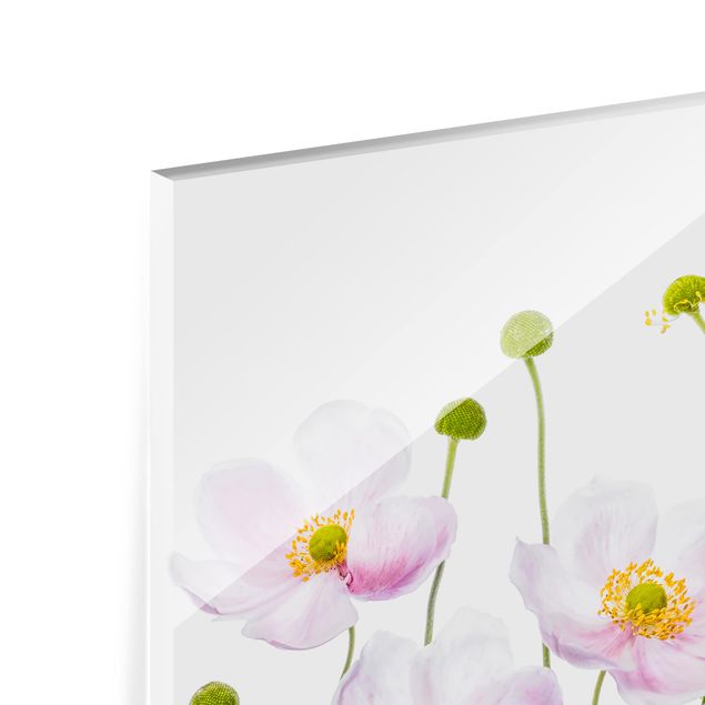 Glass Splashback - Japanese Anemones - Landscape 3:4