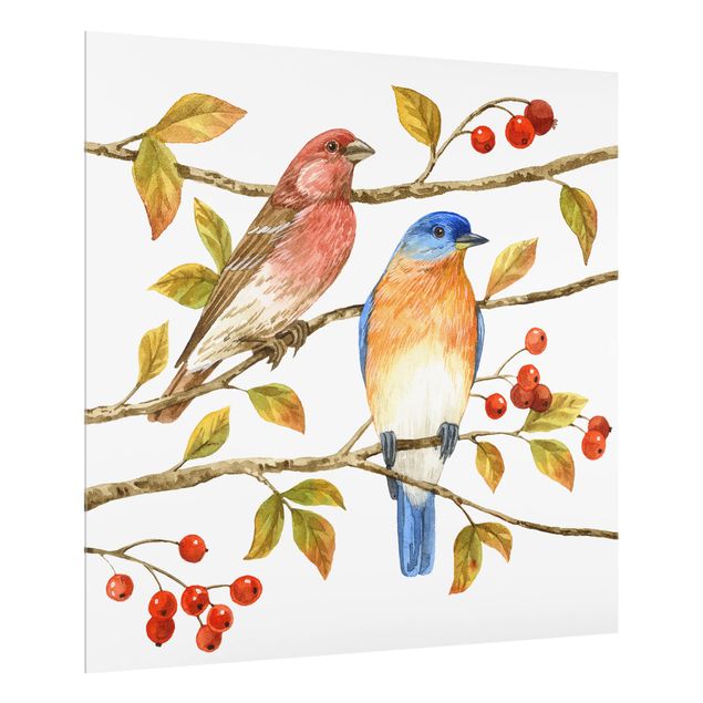 Glass Splashback - Birds And Berries - Bluebird - Square 1:1