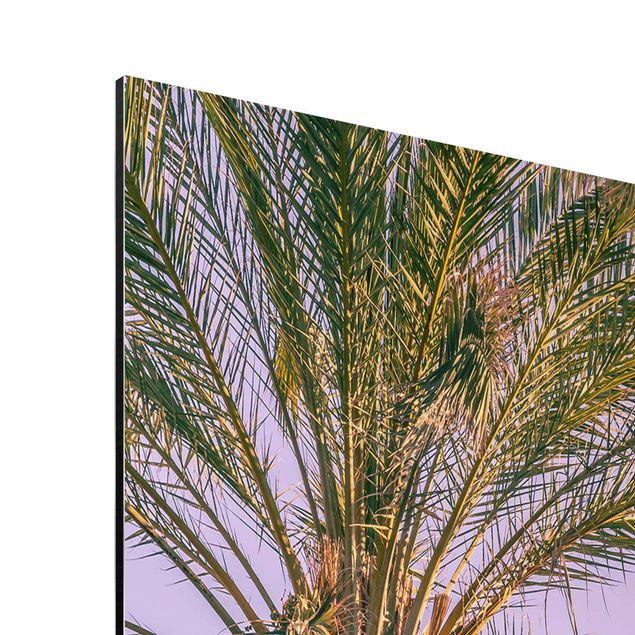 Print on aluminium - Palm Trees At Sunset