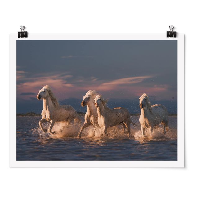Poster - Wild Horses In Kamargue