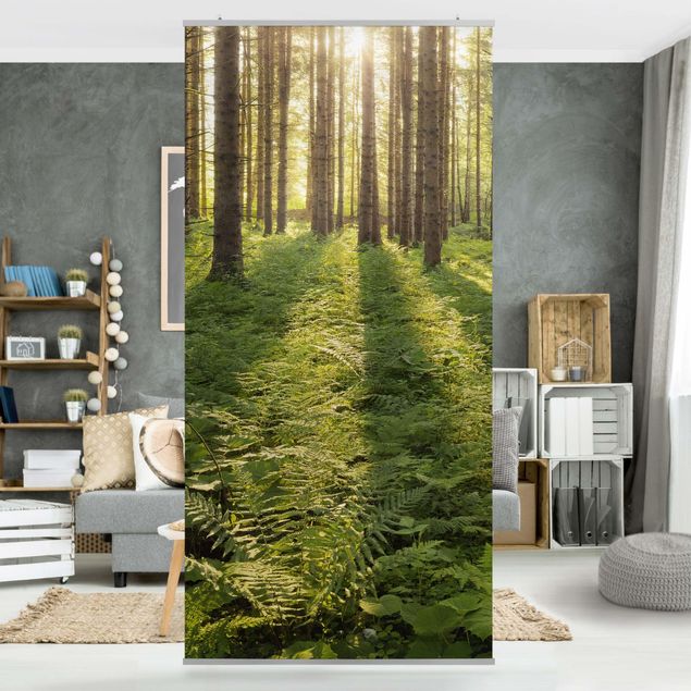 Room divider - Sun Rays In Green Forest