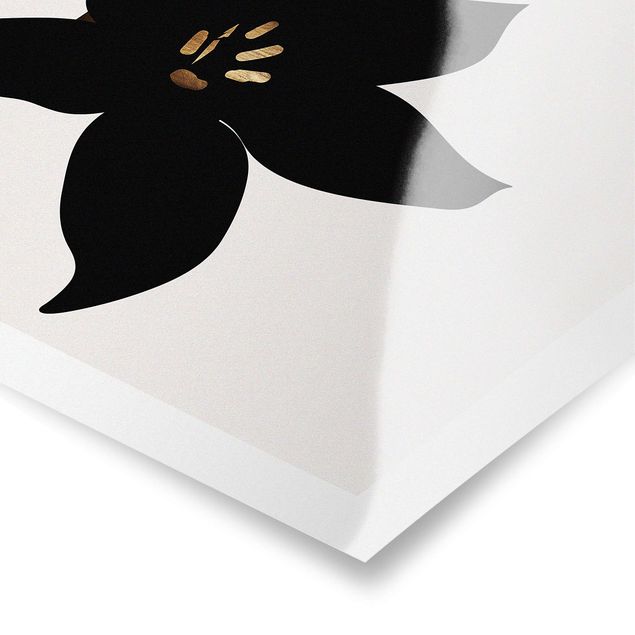 Poster - Graphical Plant World - Orchid Black And Gold