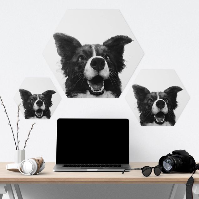 Forex hexagon - Illustration Dog Border Collie Black And White Painting