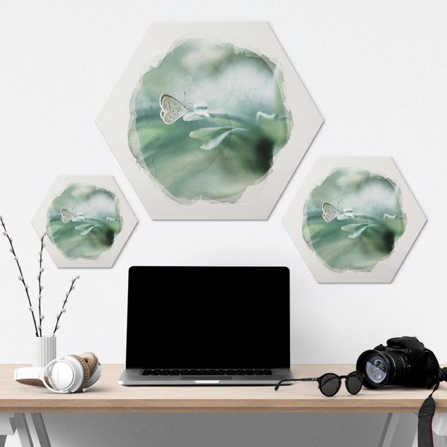 Alu-Dibond hexagon - WaterColours - Butterfly And Dew Drops In Pastel Green