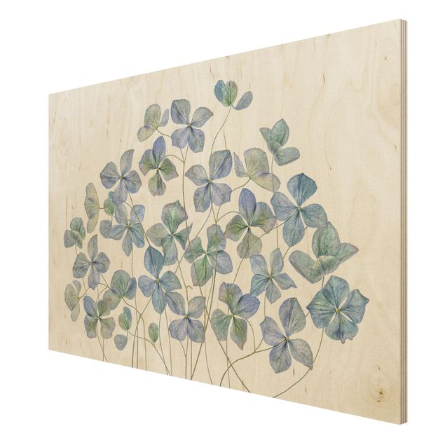 Wood print - Blue Hydrangea Flowers