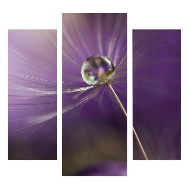 Print on canvas 3 parts - Dandelion In Violet