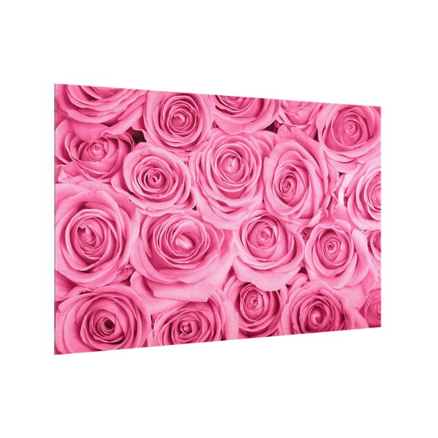 Splashback - Pink Roses