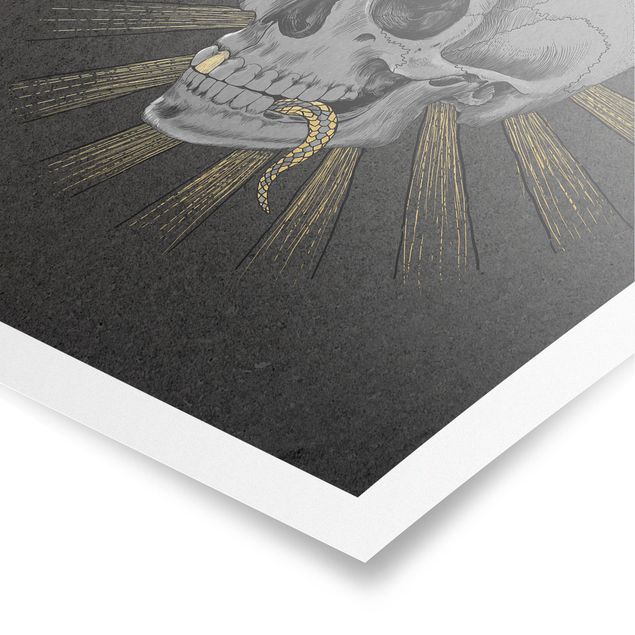 Poster - Illustration Skull And Snake Black Gold