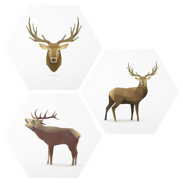 Forex hexagon - Poligon Deer Collection
