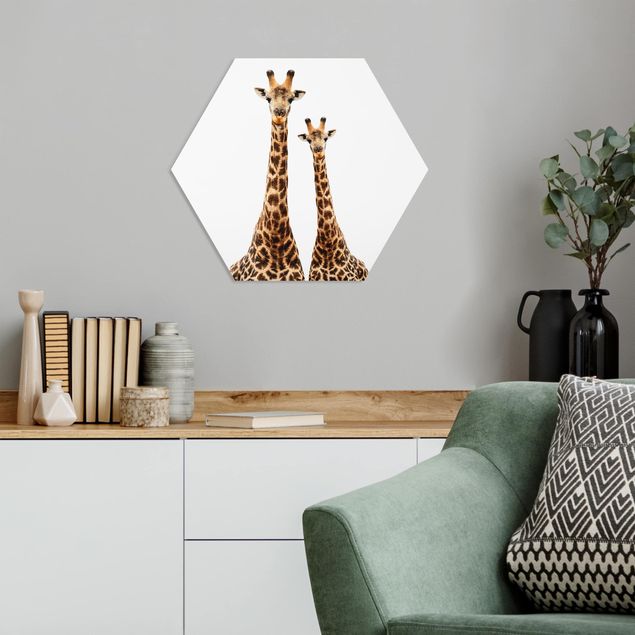 Forex hexagon - Portait Of Two Giraffes
