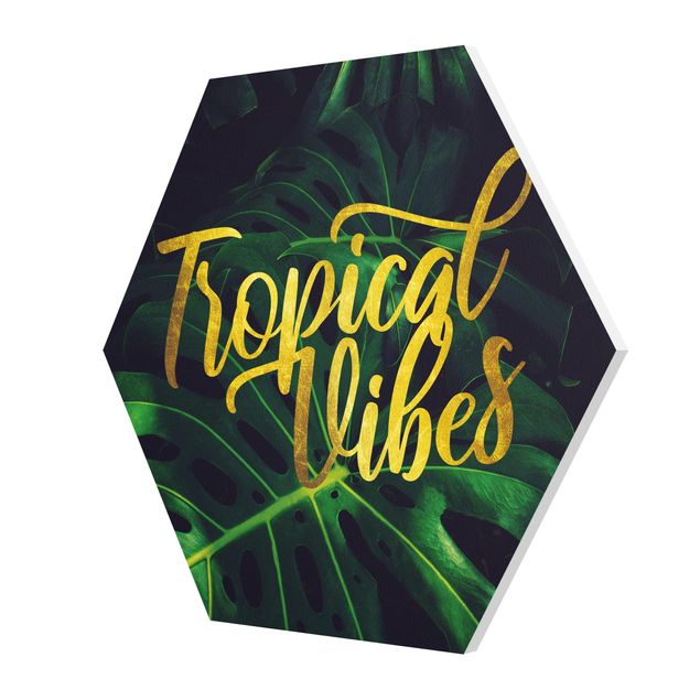 Forex hexagon - Jungle - Tropical Vibes