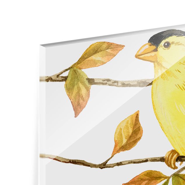 Glass Splashback - Birds And Berries - American Goldfinch - Landscape 3:4