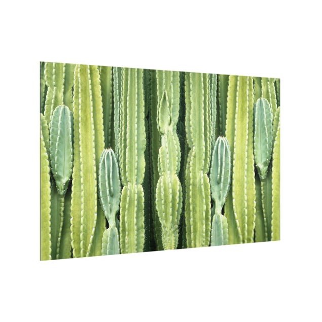 Splashback - Cactus Wall