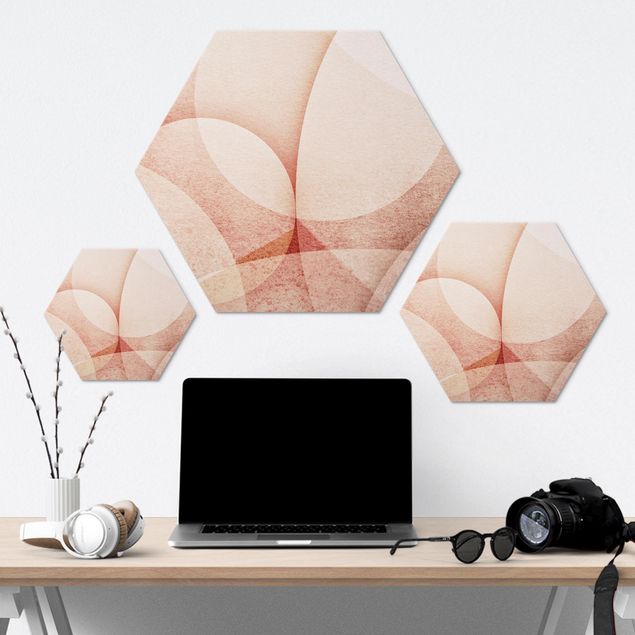Alu-Dibond hexagon - Abstract Graphics In Peach-Colour