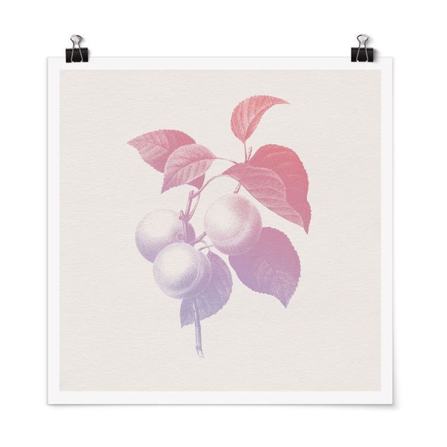 Poster - Modern Vintage Botanik Peach Light Pink Violet