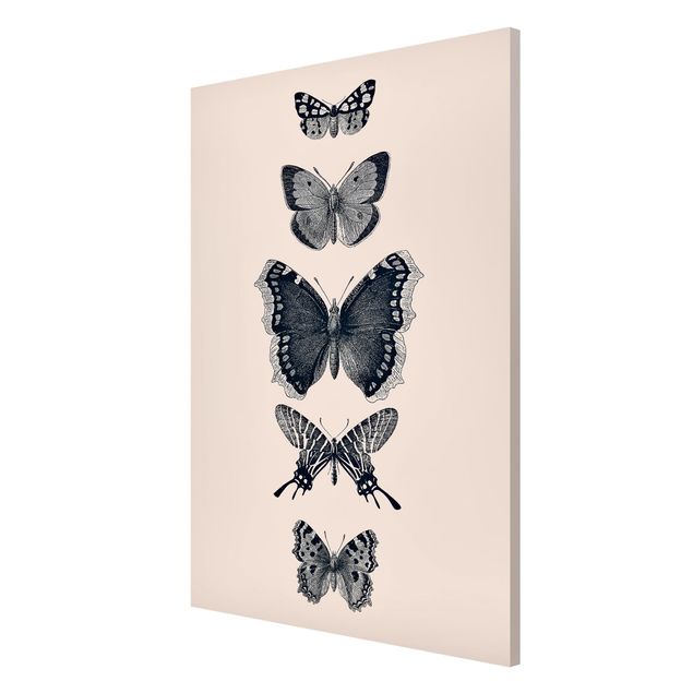 Magnetic memo board - Ink Butterflies On Beige Backdrop
