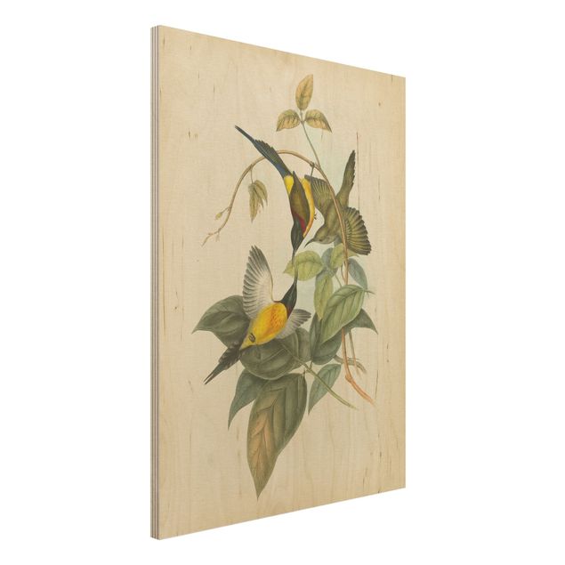 Print on wood - Vintage Illustration Tropical Birds IV