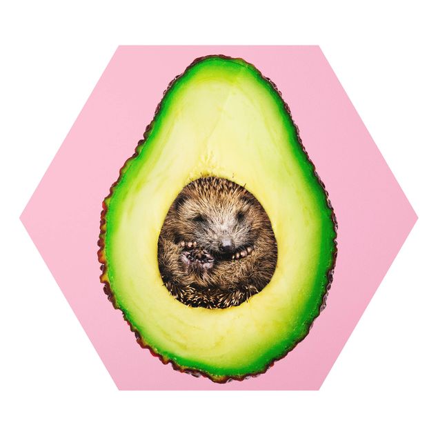 Forex hexagon - Avocado With Hedgehog