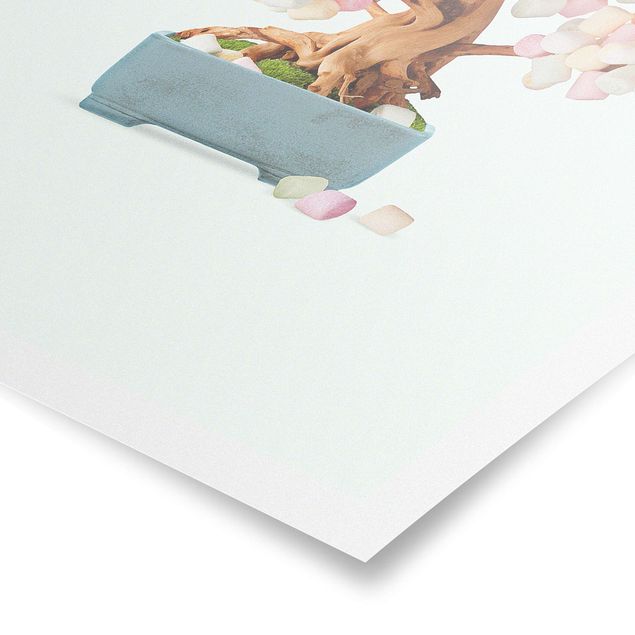 Poster - Bonsai With Marshmallows