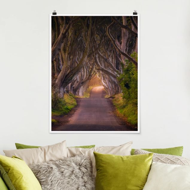 Poster forest - Tunnel Of Trees