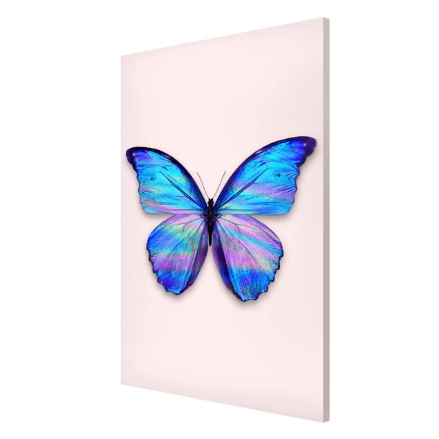 Magnetic memo board - Holographic Butterfly