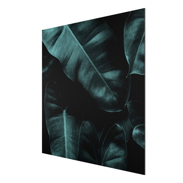 Alu-Dibond print - Jungle Leaves Dark Green