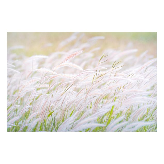 Magnetic memo board - Soft Grasses