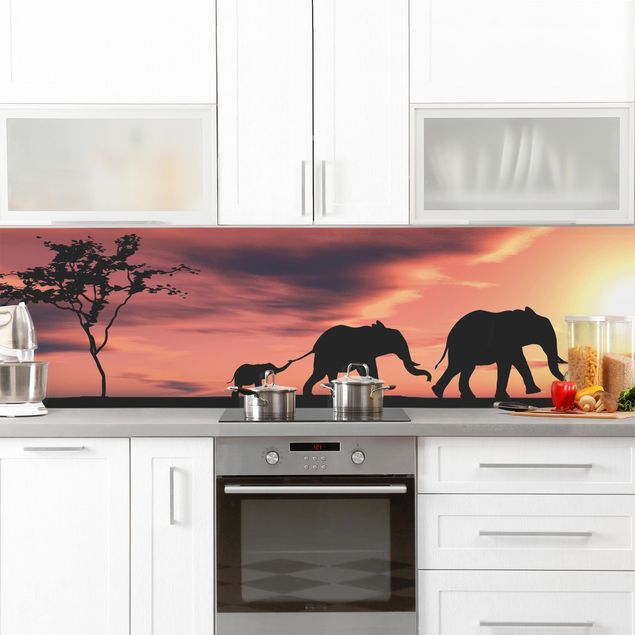 Kitchen splashbacks Savannah Elephant