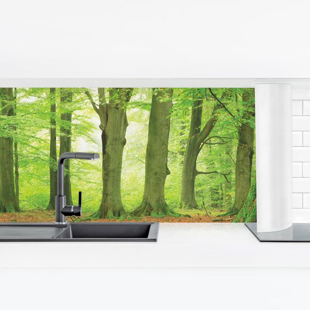Kitchen wall cladding - Mighty Beech Trees