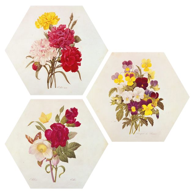 Alu-Dibond hexagon - Pierre Joseph Redouté - Roses Cloves Pansies