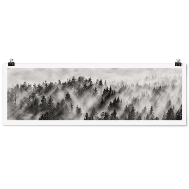 Panoramic poster black and white - Light Rays In The Coniferous Forest