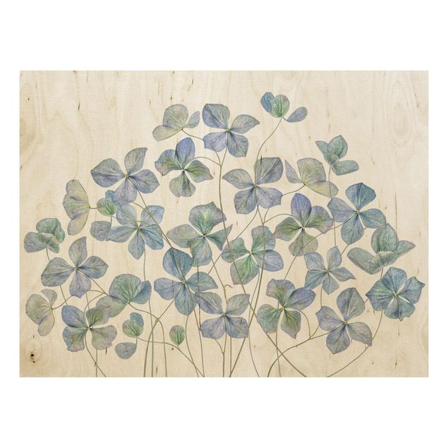 Wood print - Blue Hydrangea Flowers