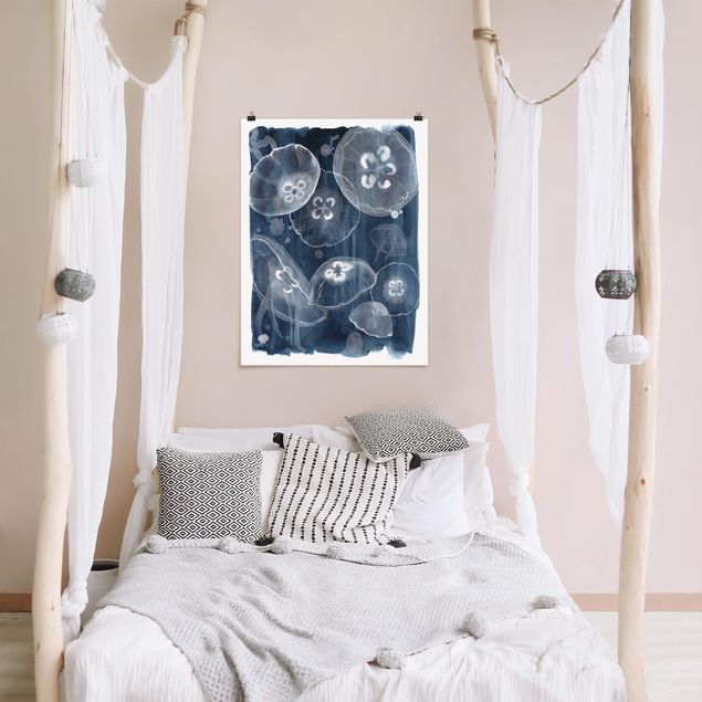 Poster animals - Moon Jellyfish II